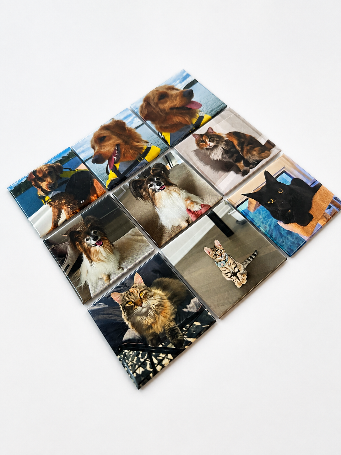 Maison Signature Custom Photo Magnet — Set of 36