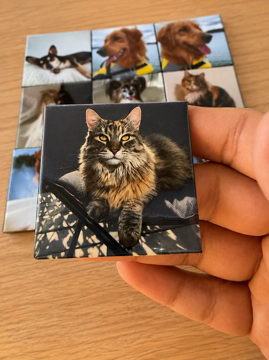 A hand holds a square custom photo magnet featuring a fluffy brown tabby cat, with a stack of similar custom photo magnets in the background on a wooden table.