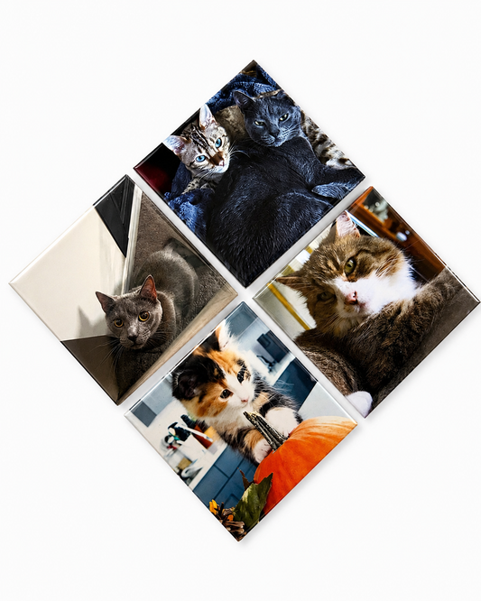 Maison Signature Custom Photo Magnet — Set of 36