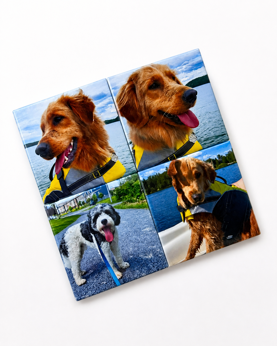 Maison Signature Custom Photo Magnet — Set of 4
