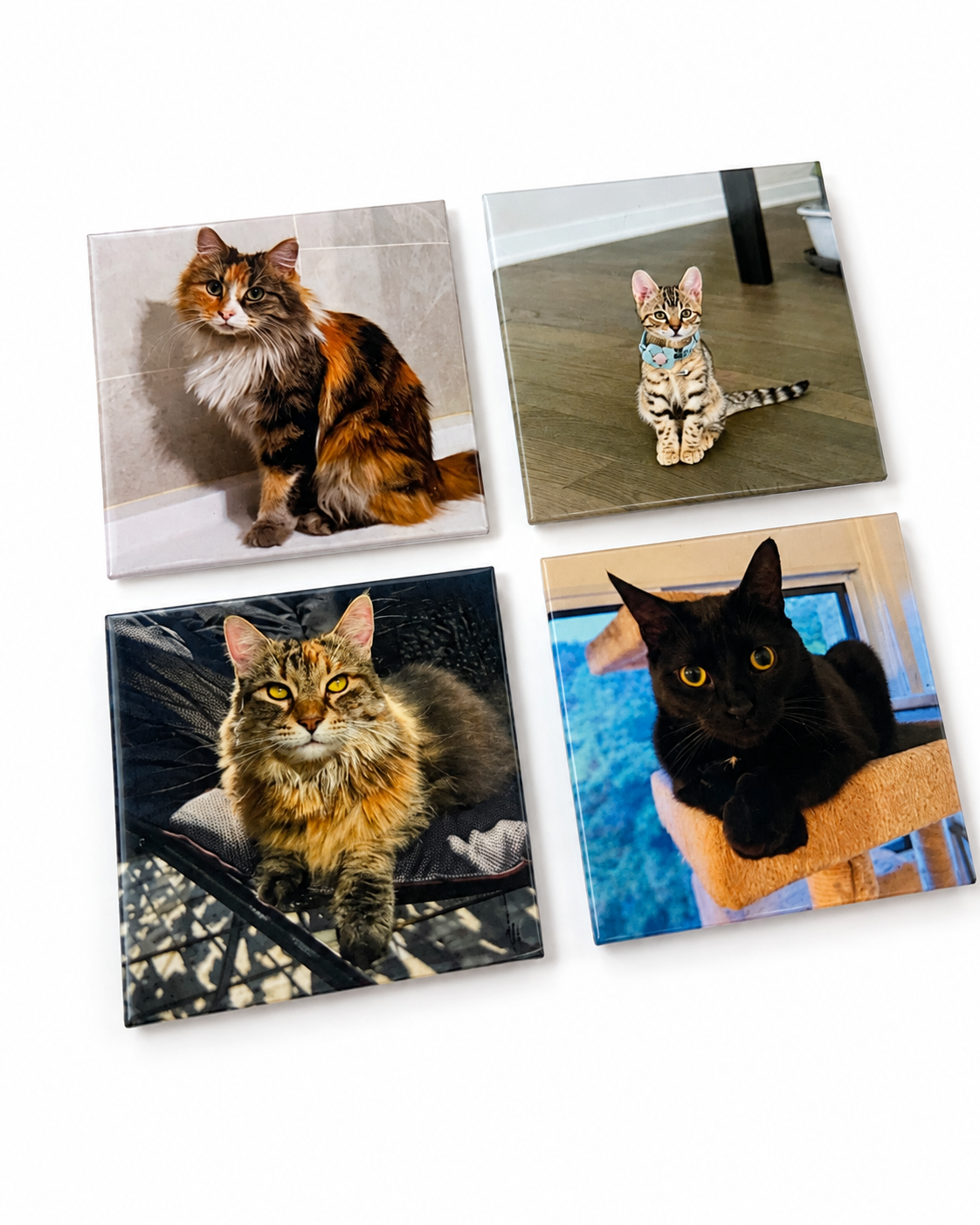 Maison Signature Custom Photo Magnet — Set of 4