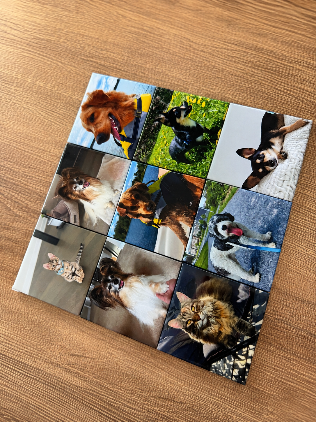 A square canvas print featuring a 3x3 grid collage of various pet photographs, displayed diagonally on a light brown wooden surface.